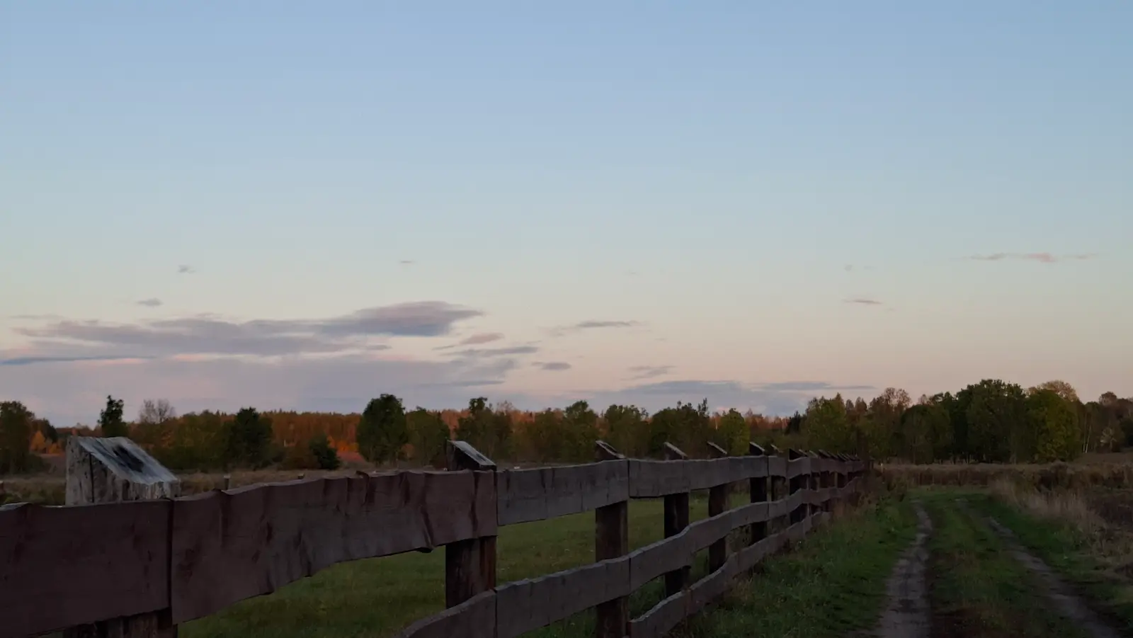 Zdjęcie przedstawia sielski krajobraz wiejski w formacie poziomym, w którym dominującym elementem jest długi, drewniany płot biegnący wzdłuż nieutwardzonej, polnej drogi. Na pierwszym planie widać solidne słupki i poziome żerdzie ogrodzenia, które prowadzą wzrok widza w głąb kadru w stronę linii lasu. Niebo nad horyzontem wypełnione jest pastelowymi odcieniami zachodzącego słońca, łącząc błękit z delikatnym różem i szarością. Tło stanowi rząd gęstych drzew, które pod wpływem światła przyjmują ciepłe, jesienne barwy, kontrastując z chłodną kolorystyką nieba. Całość kompozycji oddaje spokojną atmosferę polskiej wsi w czasie złotego godziny.