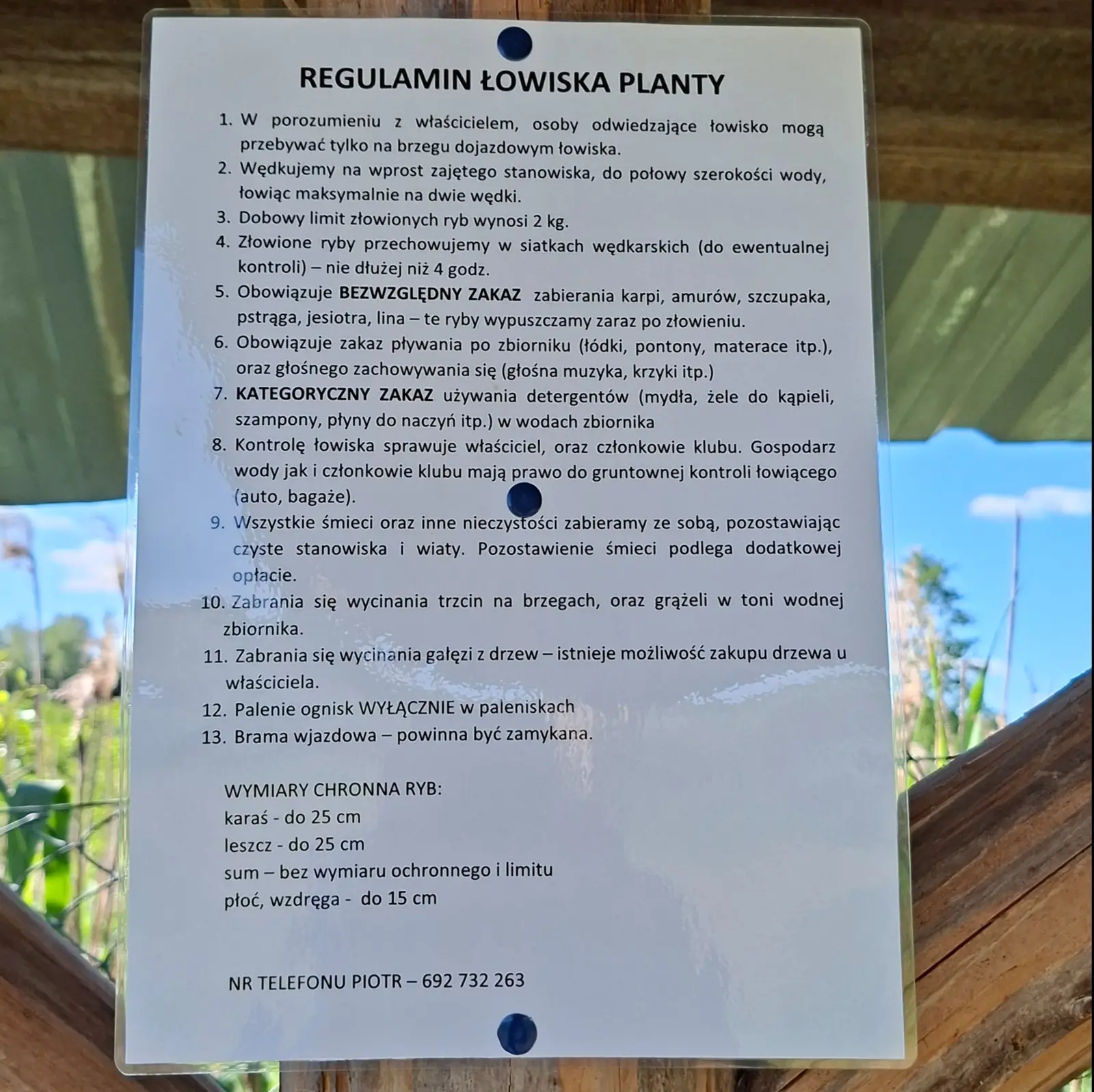 Zdjęcie w orientacji pionowej (proporcje około 1:1) przedstawia laminowaną tablicę z regulaminem łowiska wędkarskiego „Planty”, przymocowaną dwiema niebieskimi śrubami do drewnianej konstrukcji wiaty. Tło stanowią rozmyte rośliny nadwodne oraz niebieskie niebo, co sugeruje lokalizację na zewnątrz nad brzegiem zbiornika. Tekst na tablicy zawiera szczegółowe zasady połowu, wymiary ochronne ryb oraz numer kontaktowy do właściciela. Treść dokumentu jest następująca: „REGULAMIN ŁOWISKA PLANTY 1. W porozumieniu z właścicielem, osoby odwiedzające łowisko mogą przebywać tylko na brzegu dojazdowym łowiska. 2. Wędkujemy na wprost zajętego stanowiska, do połowy szerokości wody, łowiąc maksymalnie na dwie wędki. 3. Dobowy limit złowionych ryb wynosi 2 kg. 4. Złowione ryby przechowujemy w siatkach wędkarskich (do ewentualnej kontroli) – nie dłużej niż 4 godz. 5. Obowiązuje BEZWZGLĘDNY ZAKAZ zabierania karpi, amurów, szczupaka, pstrąga, jesiotra, lina – te ryby wypuszczamy zaraz po złowieniu. 6. Obowiązuje zakaz pływania po zbiorniku (łódki, pontony, materace itp.), oraz głośnego zachowywania się (głośna muzyka, krzyki itp.) 7. KATEGORYCZNY ZAKAZ używania detergentów (mydła, żele do kąpieli, szampony, płyny do naczyń itp.) w wodach zbiornika 8. Kontrolę łowiska sprawuje właściciel, oraz członkowie klubu. Gospodarz wody jak i członkowie klubu mają prawo do gruntownej kontroli łowiącego (auto, bagaże). 9. Wszystkie śmieci oraz inne nieczystości zabieramy ze sobą, pozostawiając czyste stanowiska i wiaty. Pozostawienie śmieci podlega dodatkowej opłacie. 10. Zabrania się wycinania trzcin na brzegach, oraz grążeli w toni wodnej zbiornika. 11. Zabrania się wycinania gałęzi z drzew – istnieje możliwość zakupu drzewa u właściciela. 12. Palenie ognisk WYŁĄCZNIE w paleniskach 13. Brama wjazdowa – powinna być zamykana. WYMIARY CHRONNA RYB: karaś - do 25 cm, leszcz - do 25 cm, sum – bez wymiaru ochronnego i limitu, płoć, wzdręga - do 15 cm. NR TELEFONU PIOTR – 692 732 263”. Tablica jest przejrzysta, wydrukowana czarnym, czytelnym krojem pisma na białym tle.