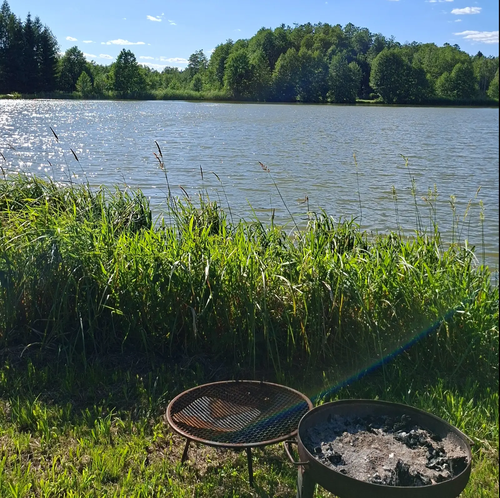Zdjęcie o proporcjach 1:1 przedstawia sielski krajobraz z jeziorem w słoneczny dzień. Na pierwszym planie, na zielonej trawie, ustawione są dwa metalowe paleniska: jedno z rusztem i drugie z popiołem. Środek kompozycji zajmują wysokie, soczyście zielone trawy, które oddzielają miejsce na ognisko od tafli wody. W tle widać spokojne jezioro, którego powierzchnia mocno odbija promienie słońca, tworząc efektowne refleksy. Całość zamyka gęsty, mieszany las na horyzoncie pod błękitnym niebem z delikatnymi chmurami.